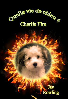 chien4memento-2